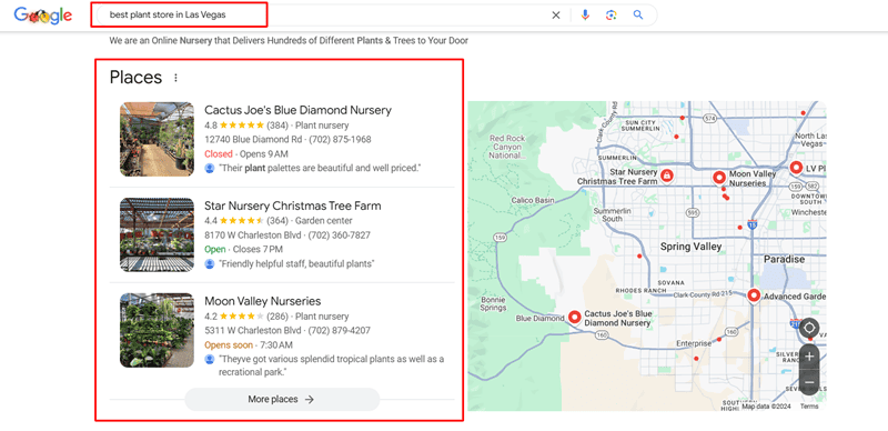 SEO for local garden store